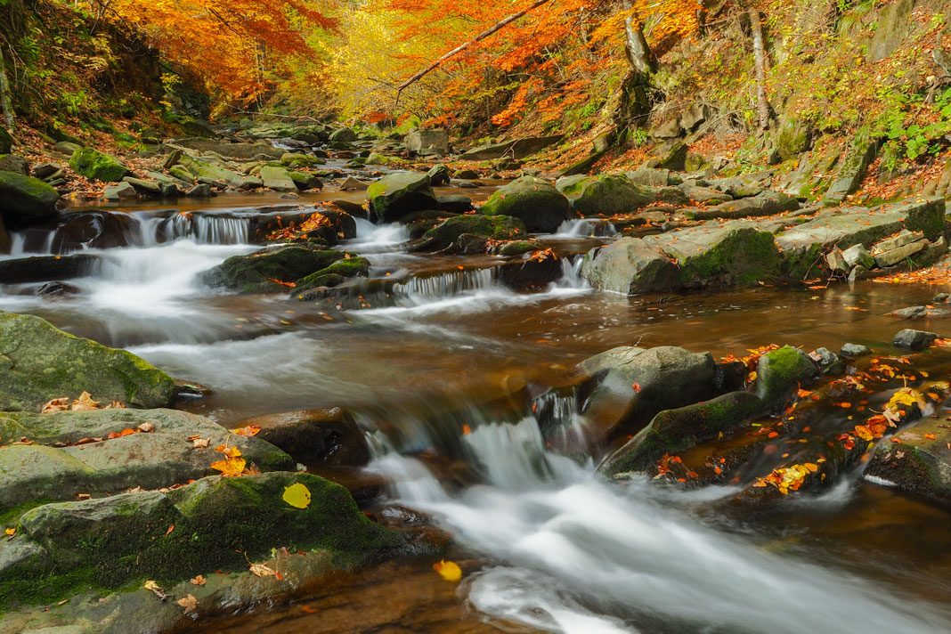 bieszczady nationalpark