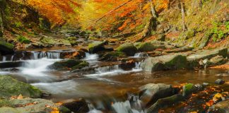 bieszczady nationalpark