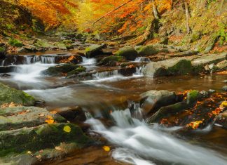 bieszczady nationalpark